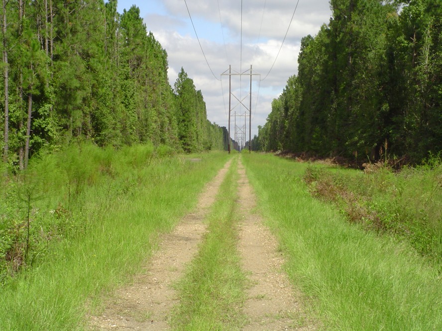 505 acres Farm for Sale Effingham County, GA Land And Farm